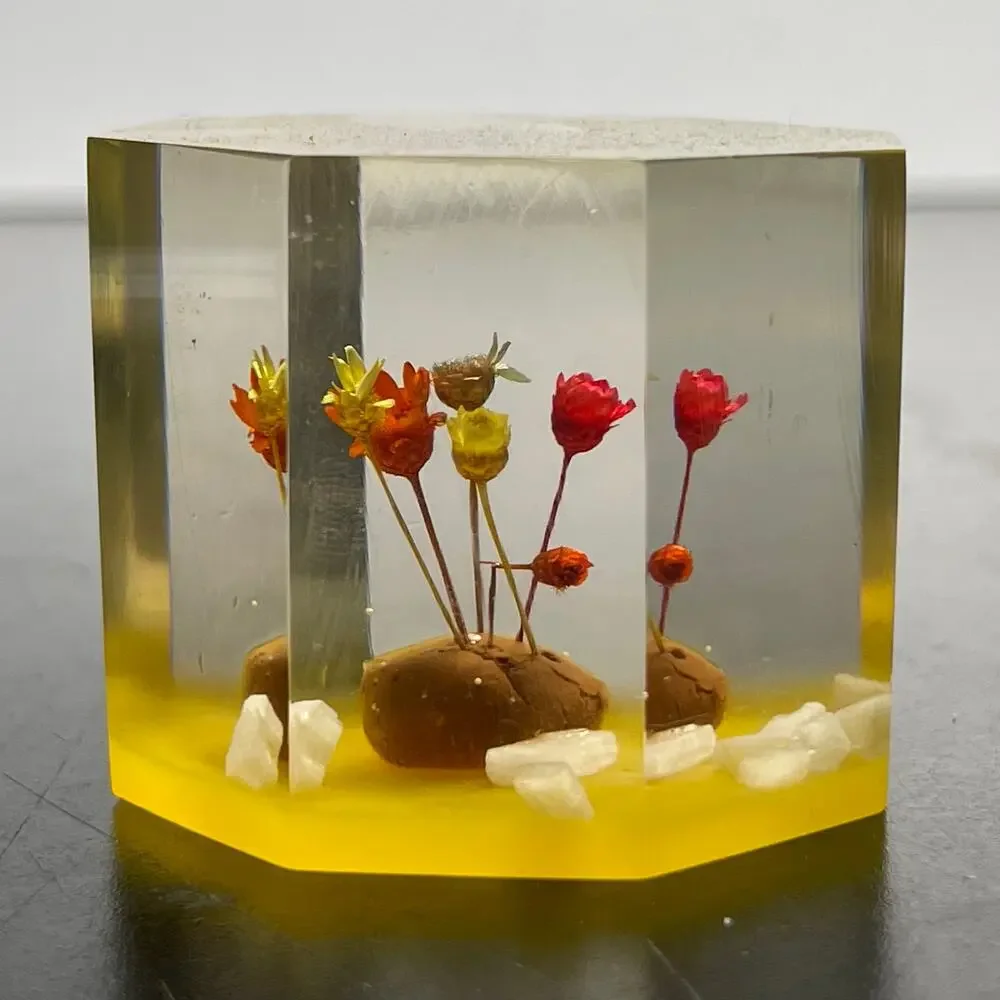 Vtg Lucite Acrylic Paperweight with Dried Straw Flowers 1.5
